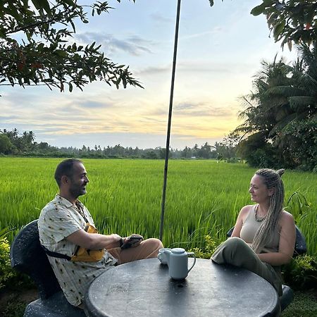 Viveka Inn Guest And Yala Safari Tissamaharama Eksteriør bilde