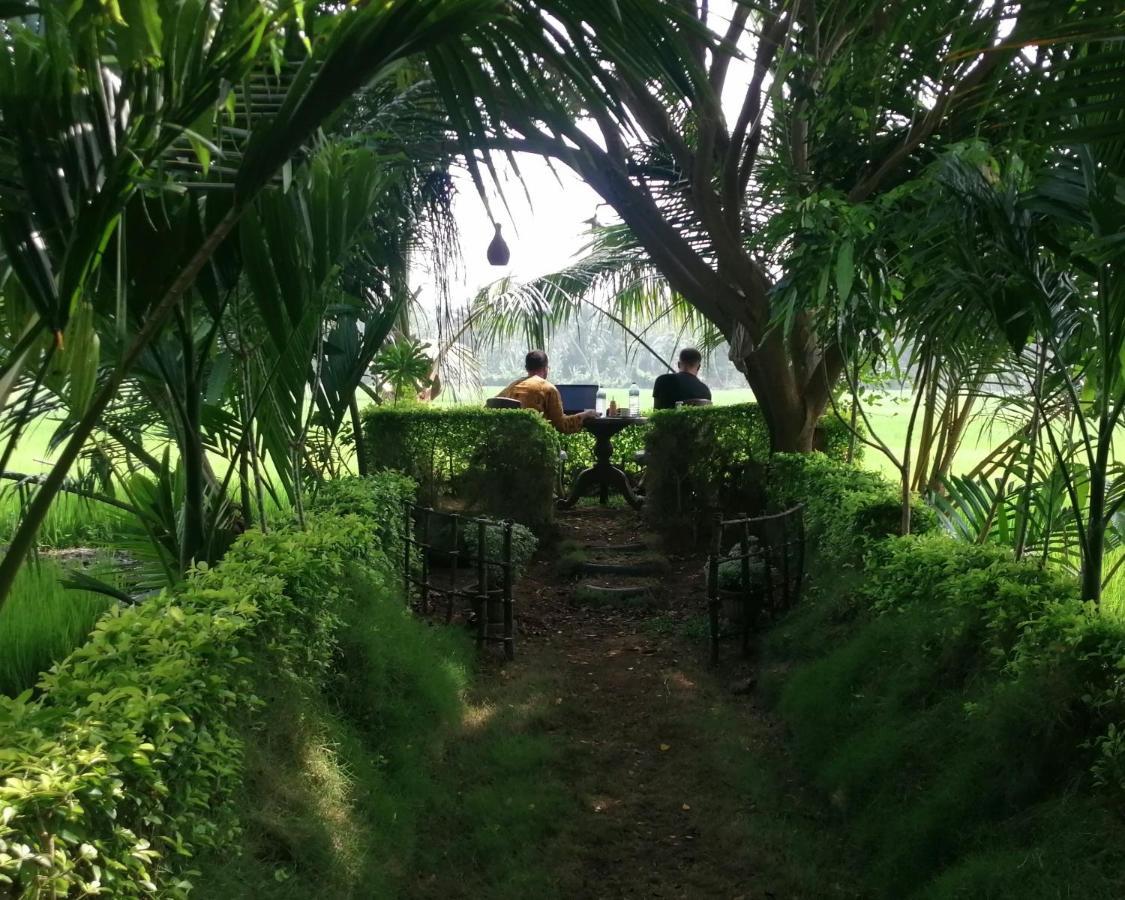 Viveka Inn Guest And Yala Safari Tissamaharama Eksteriør bilde