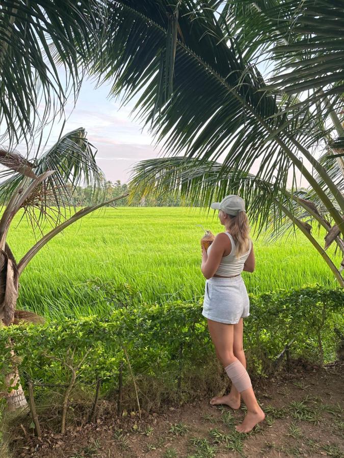 Viveka Inn Guest And Yala Safari Tissamaharama Eksteriør bilde