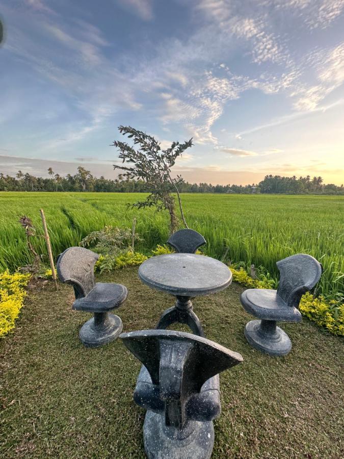 Viveka Inn Guest And Yala Safari Tissamaharama Eksteriør bilde