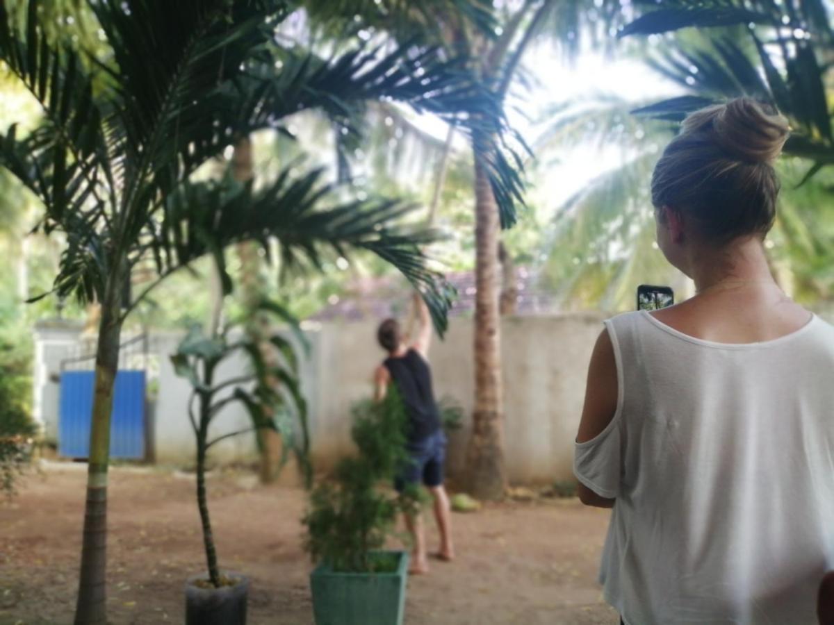 Viveka Inn Guest And Yala Safari Tissamaharama Eksteriør bilde
